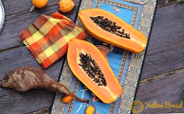 How papaya is useful: use and contraindications