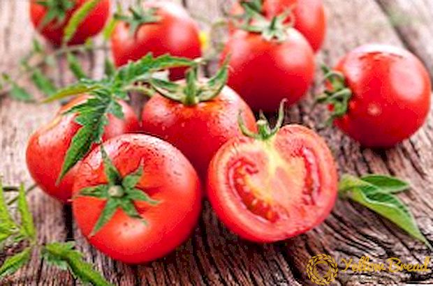 Kava istutada tomat kasvuhoones ja avatud maa