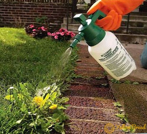 Herbicide Types: Weed Protection
