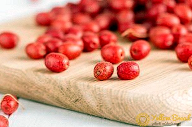 Useful properties and harvesting of gum berries