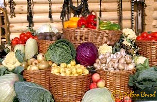 Lưu trữ rau: cách tốt nhất để bảo quản khoai tây, hành tây, cà rốt, củ cải đường, bắp cải cho mùa đông