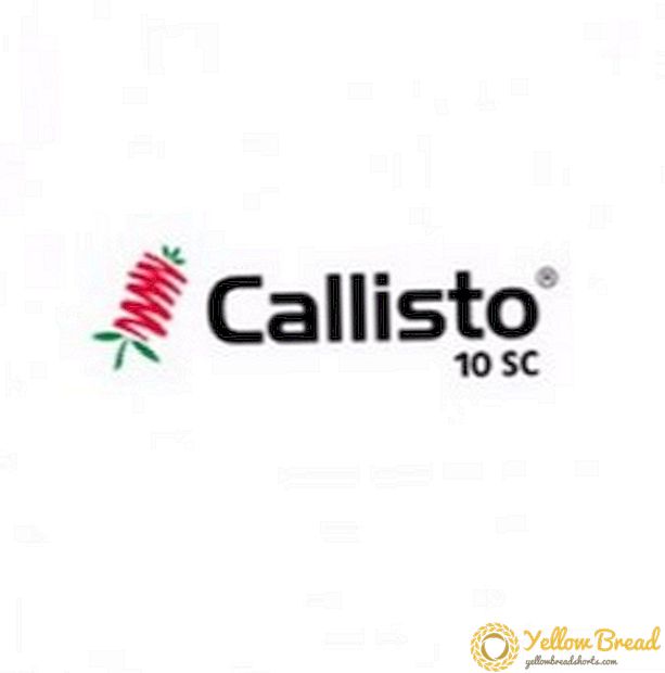 A kukorica termesztésénél a Callisto herbicidet használjuk