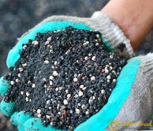 What are and how to use phosphate fertilizers