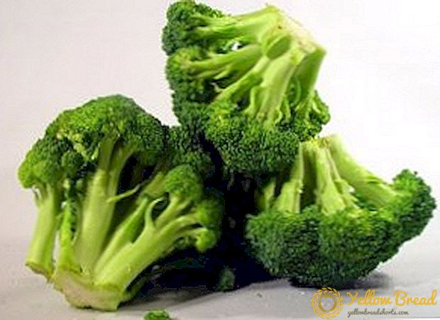 Paano lumago ang broccoli sa bukas na larangan