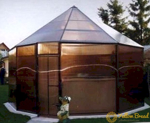 Country arbor of polycarbonate - the advantages and disadvantages of how to do it yourself