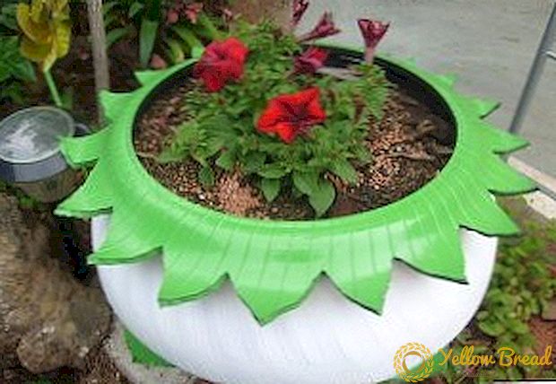 Λουλούδι κήπο do-it-yourself πώς να κάνετε κρεβάτια ελαστικών τροχών