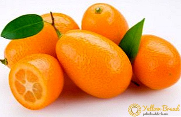 Wat is nuttig en skadelike kumquat, ons studeer