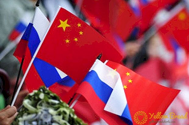 چین بزرگترین صادر کننده غذا در روسیه است.