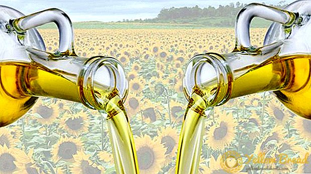 Ekspor minyak bunga matahari Rusia mencapai rekor lain