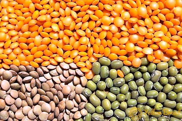 Lentil, fennel and chickpea are popular in Ukraine