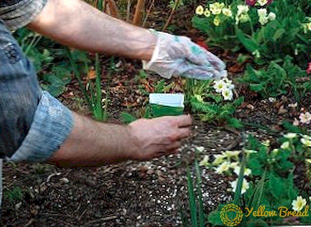 The use of potassium chloride fertilizer in the garden