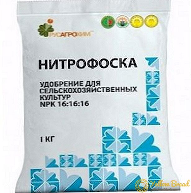 さまざまな作物のための肥料ニトロフォスカの使用