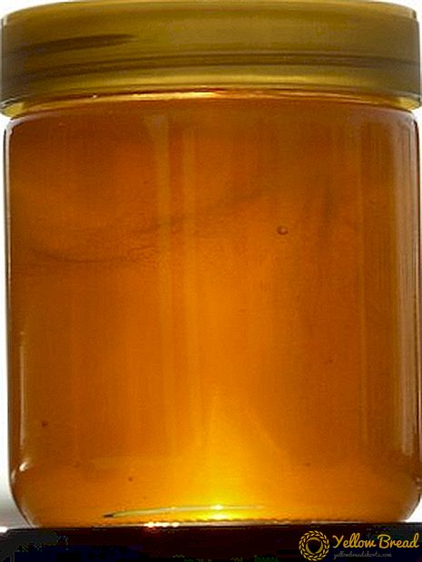 Beskrivning av vanliga typer av honung