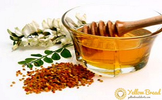 Ano ang kapaki-pakinabang na akasya honey: nakapagpapagaling na mga katangian at contraindications