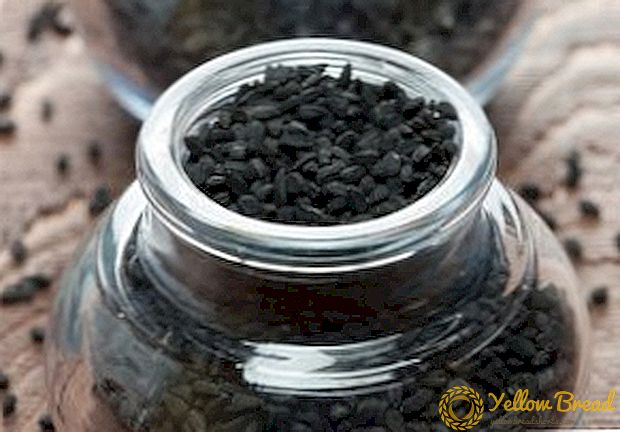 Τι είναι χρήσιμο για τον μαύρο κύμινο, τη χρήση του κύμινο και του πετρελαίου του στην παραδοσιακή ιατρική