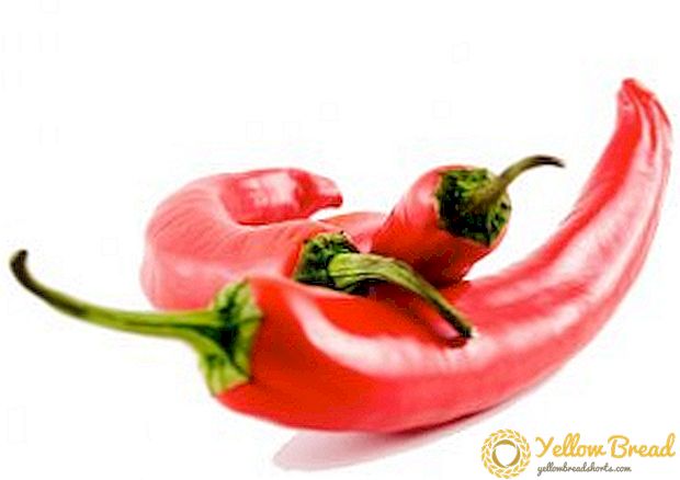 Fordelene og skader av chili peppers
