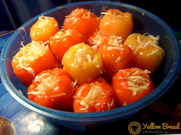 Hoe te koken en te sparen voor de wintergegiste pepers gevuld met kool en wortels?