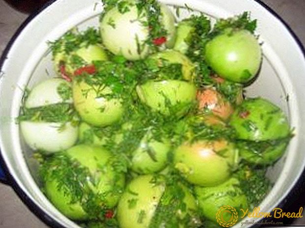 Hoe gepekelde groene tomaten met knoflook en kruiden in een pot of in een emmer te koken? Beste recepten