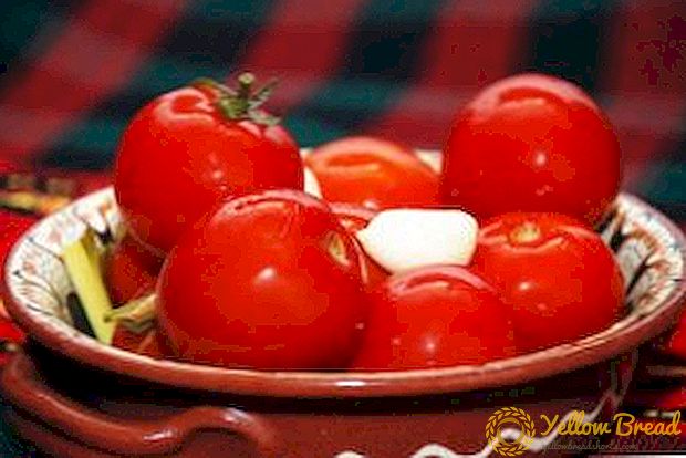 Hvordan laver man syltede tomater i en kasserolle med koldt vand og tørt? Bedste opskrifter