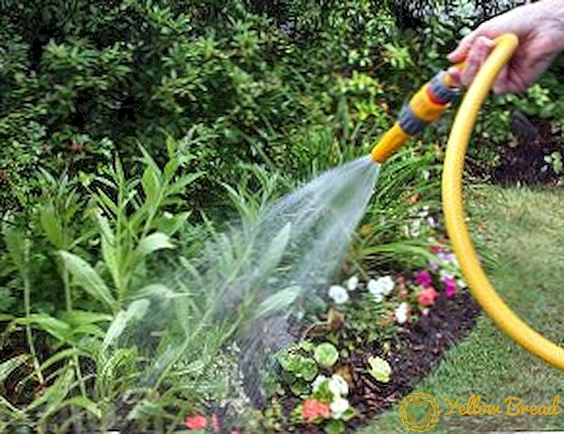 Sulama için bir hortum nasıl seçilir: bahçe hortumlarının tipleri ve özellikleri