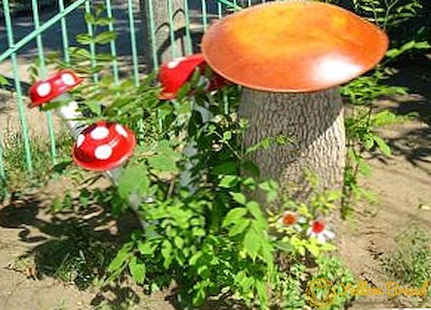 How to decorate a tree stump at the dacha