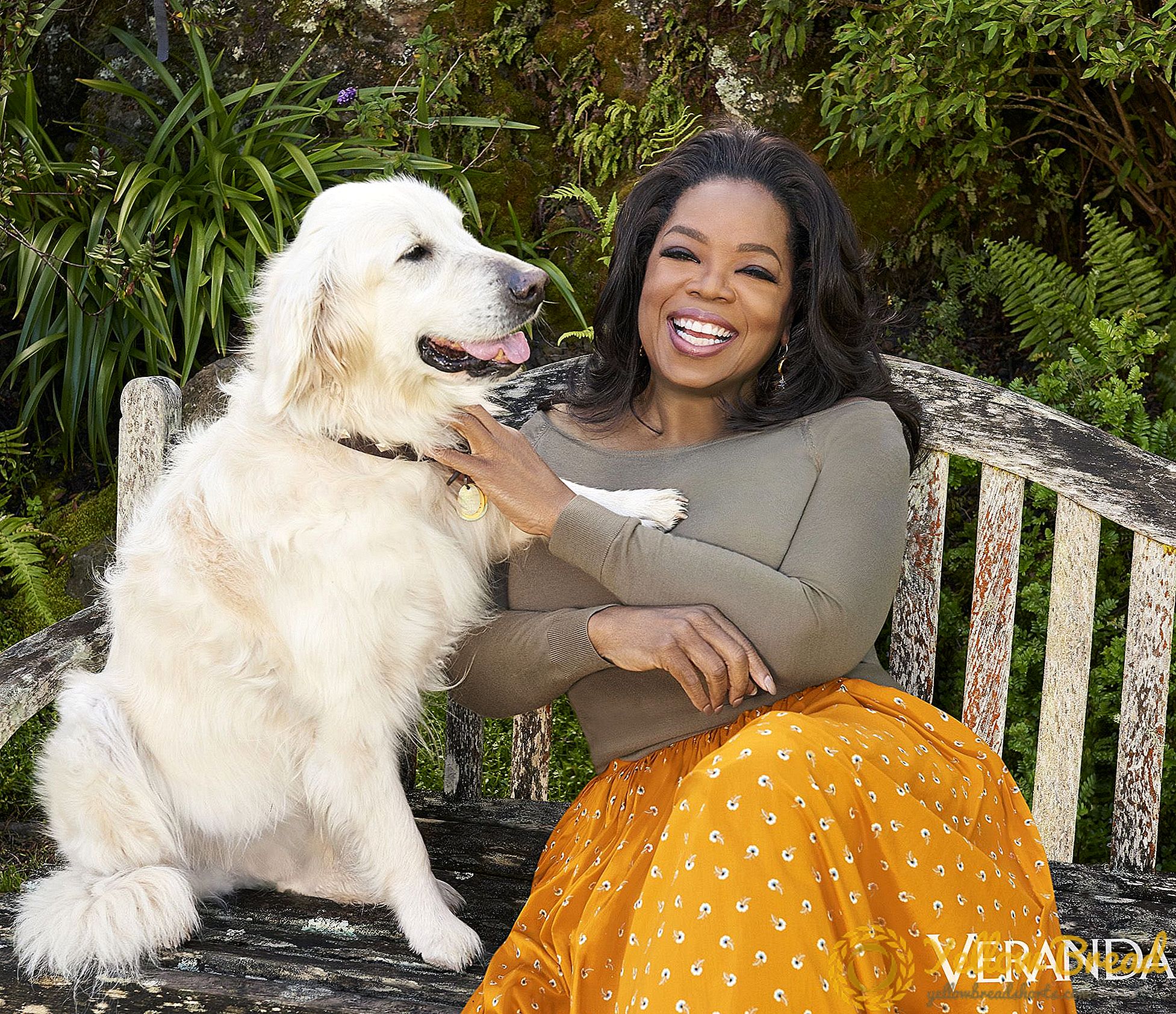 Steg inuti Oprah Winfreys utomhusreservat, The Rose Garden på hennes Montecito Home