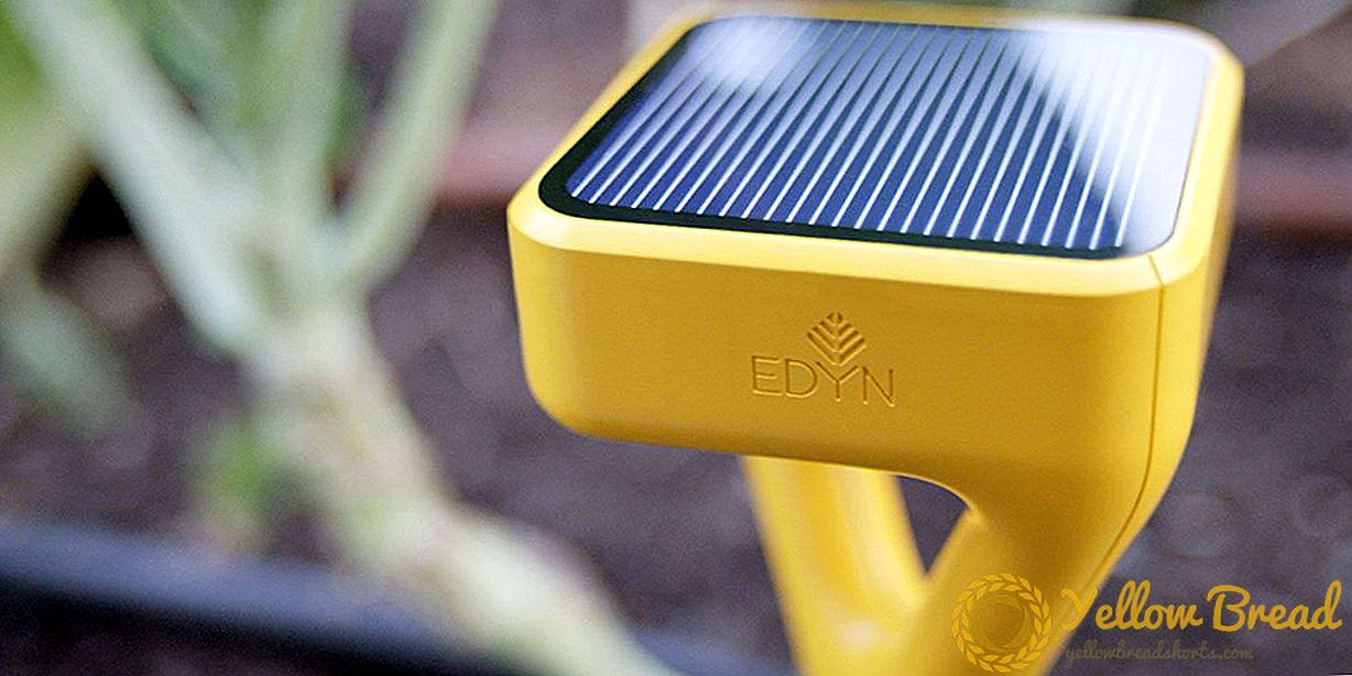 Este dispositivo brilhante mudará completamente a maneira que você jardina