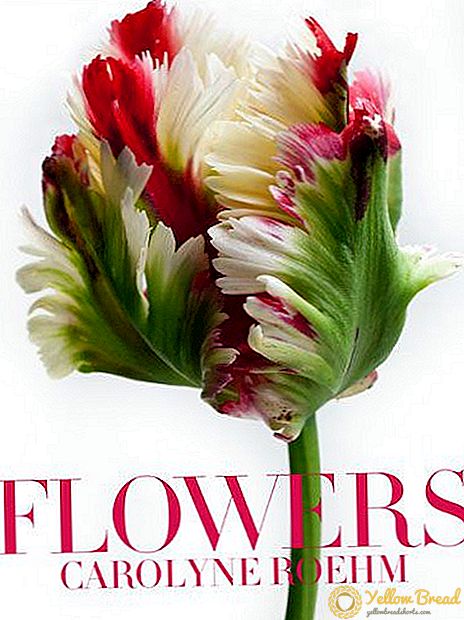 Добре четене: Цветя - Gardens - Април 
