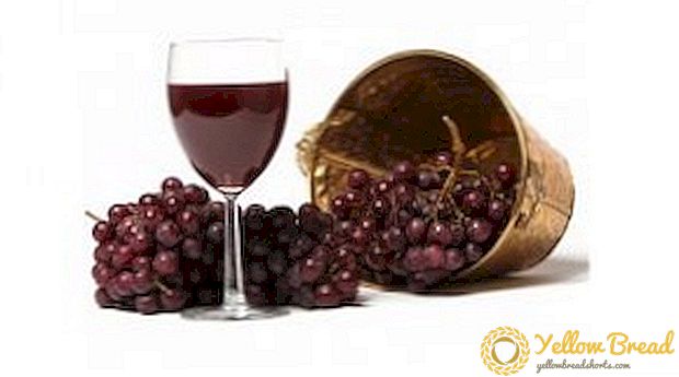 كيفية صنع النبيذ من العنب: أسرار صناعة النبيذ في المنزل