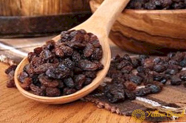 Cooking raisins at home: sharing secrets