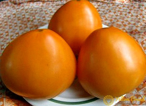 Pomidor Bullun ürəyi: artan və qayğı