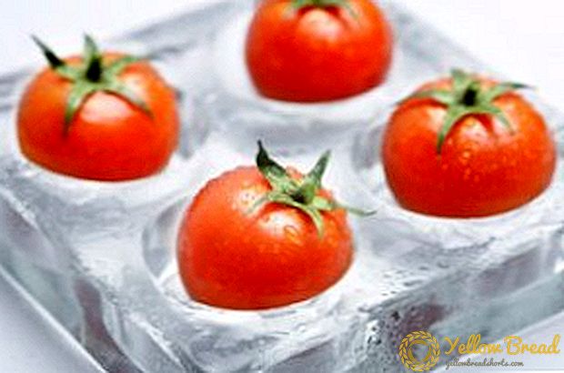 Hoe tomaten in de winter in de vriezer invriezen en wat ermee te doen