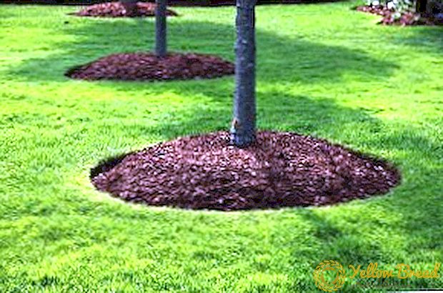 Was ist das Mulchen des Bodens, insbesondere die Anwendung der agrotechnischen Aufnahme?
