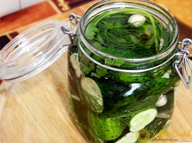 Wat is nuttige en schadelijke gezouten (gebeitst) komkommer?