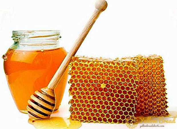 Eksporten av ukrainsk honning ble rekord i 2016