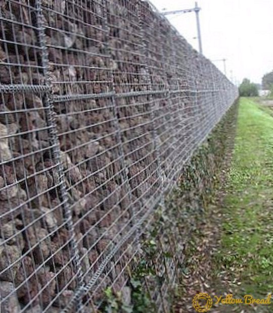 How to make a fence of gabions do it yourself