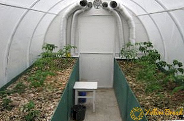 Paano gumawa ng isang mainit na hardin na kama sa isang greenhouse: pagsisiyasat ng mga paraan