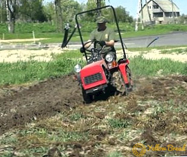 Die Vorteile der Verwendung eines Mini-Traktors im Garten, die Regeln der Wahl