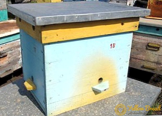 The advantages and features of the use of nucleus hives