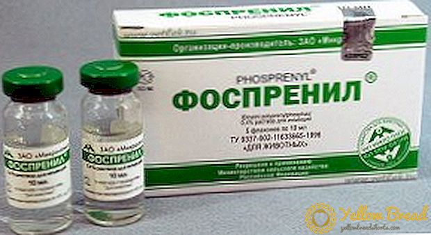 ウイルス感染に対する薬剤の使用説明書「フォスプレニル」
