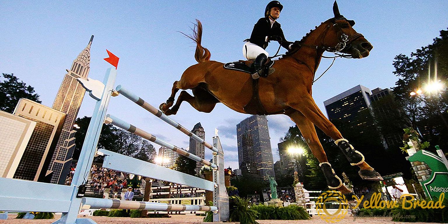 Il Central Park Horse Show inizia a Manhattan