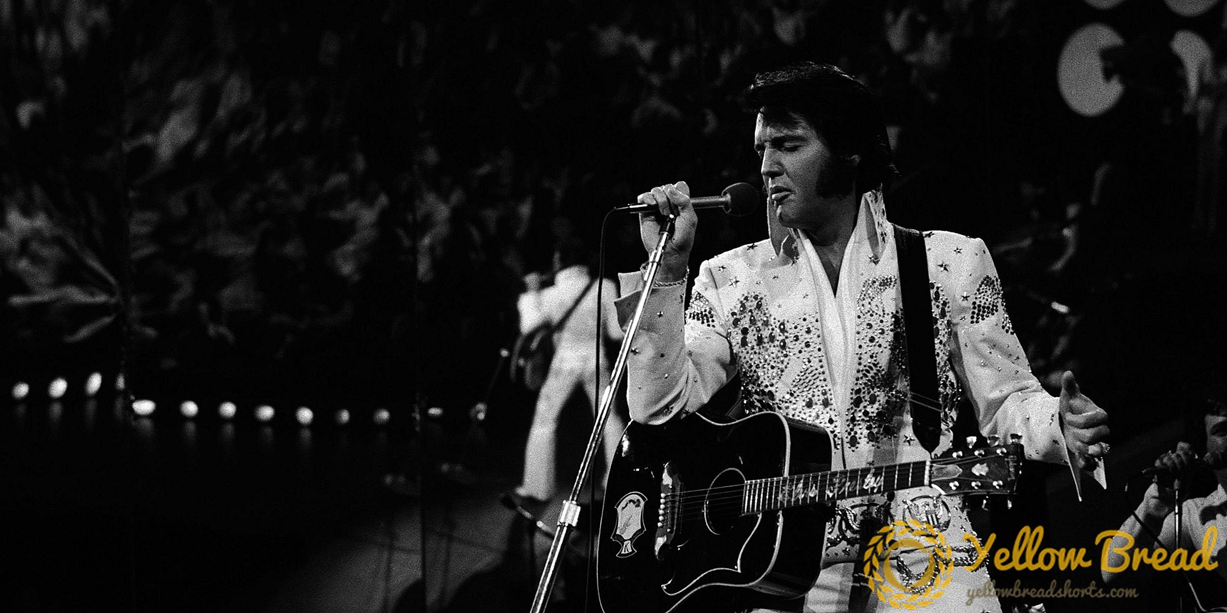 Elvis's Aloha с гавайской гитары не может продать на аукционе