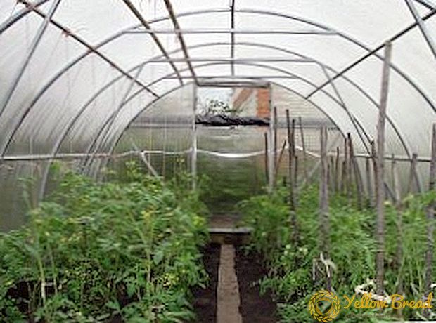 The process of making greenhouses from polycarbonate do it yourself