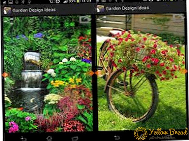 10 best mobile applications for gardeners and gardeners