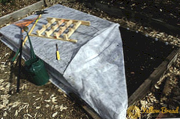 “Blanket” for garden beds or why cover the ground for the winter?