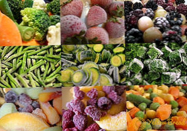 अपने खुद के व्यवसाय के लिए विचार: जमे हुए सब्जियों और फलों का उत्पादन