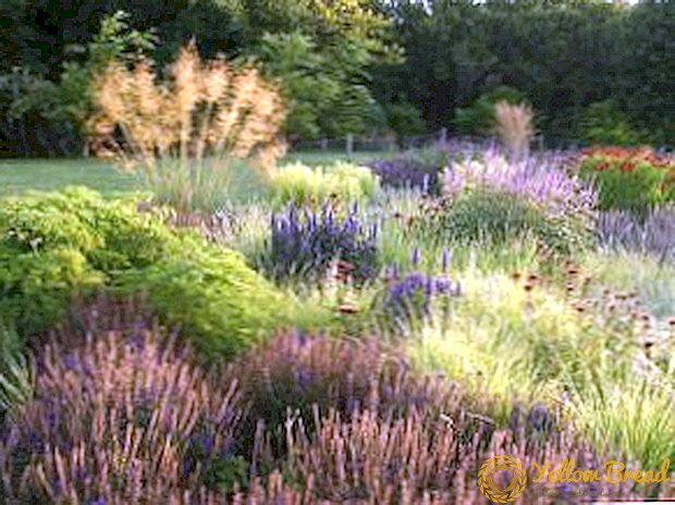 Naturgarden stili - bahçenin modası veya doğal hali?