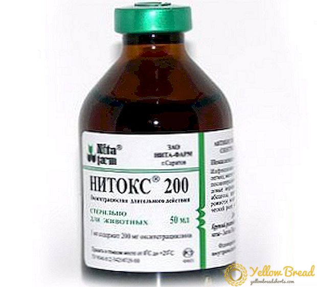 كيفية تطبيق Nitoks 200 في الطب البيطري ، تعليمات لاستخدام الدواء