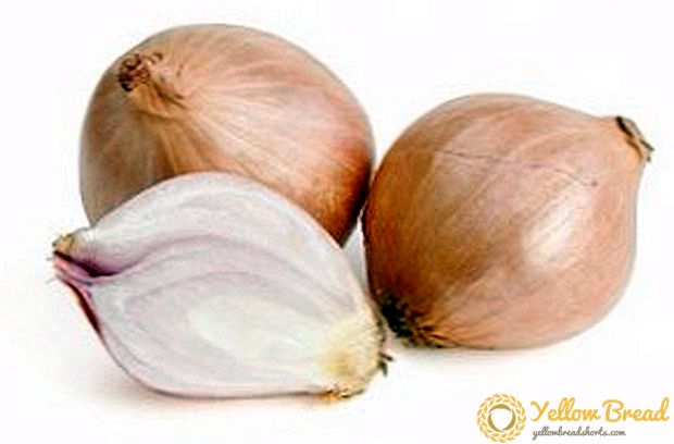 Shallots: calories, use, beneficial properties and contraindications
