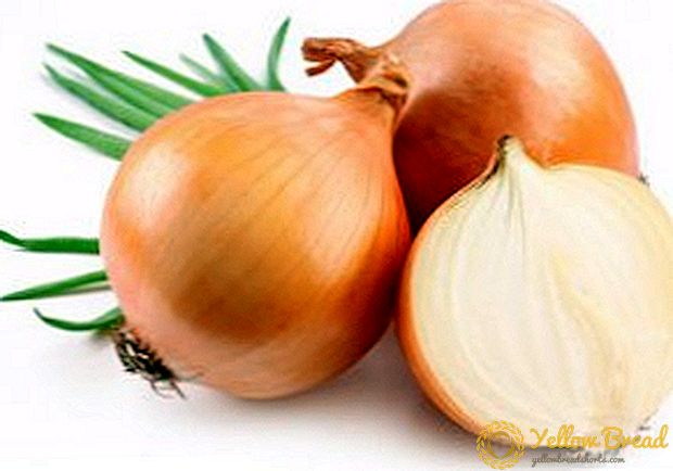 How to fertilize onions, the general rules of plant nutrition